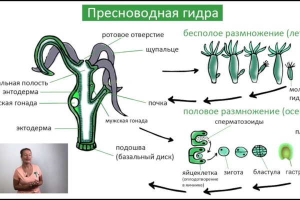 Новая ссылка кракена