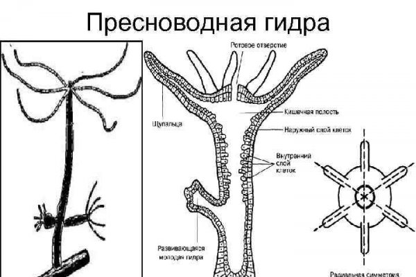 Вход на кракен зеркало