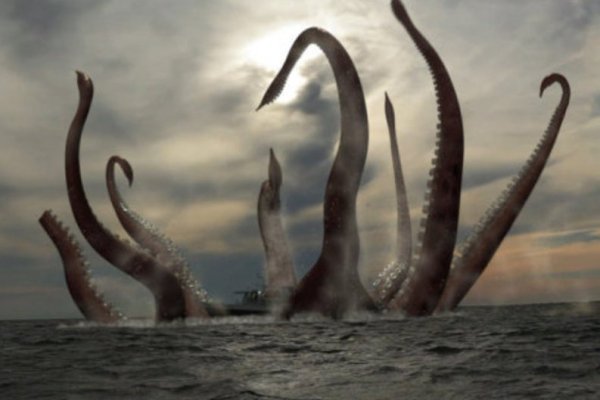 Kraken tor